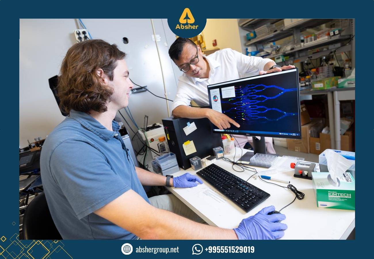 دراسة الأمن السيبراني في جورجيا: تخصص المستقبل في جامعة القوقاز