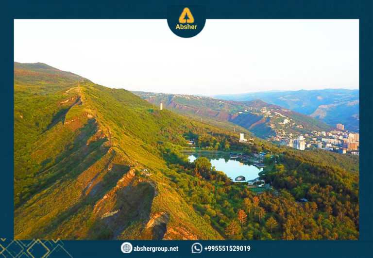 بحيرة السلحفاء في جورجيا